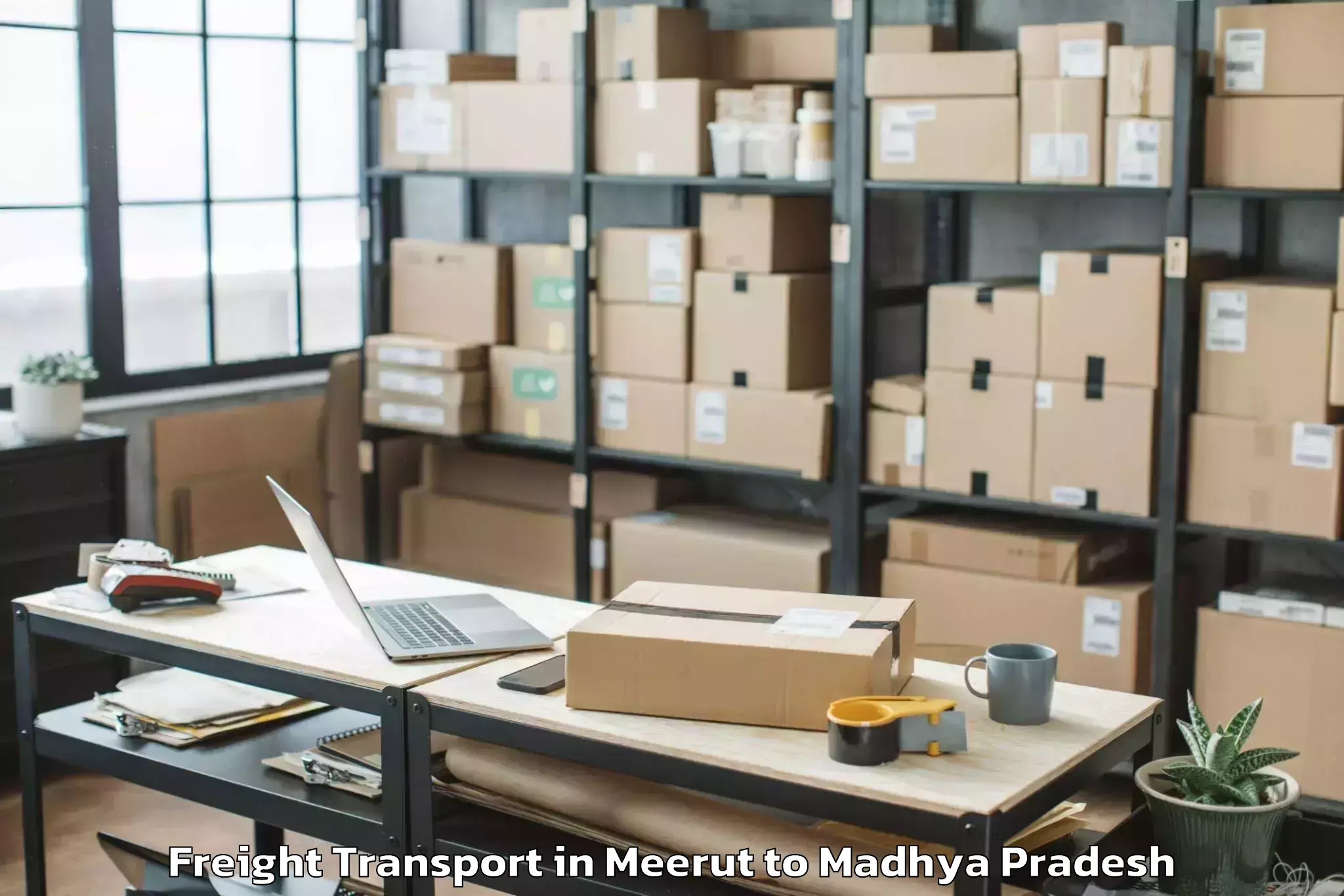 Professional Meerut to Khargone Freight Transport